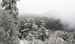 उत्तराखंड में पर्यटकों को आकर्षित कर रही बर्फबारी, उंचे पहाड़ों पर बदले मौसम से यातायात प्रभावित, तस्वीरें