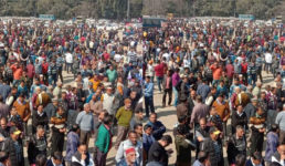 पदोन्नति में आरक्षण पर एससी के फैसले के बाद सवा लाख कर्मचारी परिवार सहित उतरे, पदोन्नति से रोक हटाने की मांग