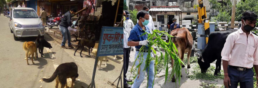 उत्तराखंड : भूख से बिलबिला रहे आवारा कुत्ते और गाय, लॉकडाउन में इंसान देखते ही कर रहे हरकत, तस्वीरें उत्तराखंड : भूख से बिलबिला रहे आवारा कुत्ते और गाय, लॉकडाउन में इंसान देखते ही कर रहे हरकत, तस्वीरें