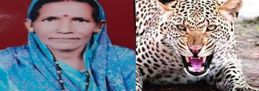 Uttarakhand : महिला का शिकार करने वाला तेंदुआ अभी नहीं आया पकड़ में, लगी हुई हैं कई टीम, इलाके के गांवों में दहशत