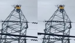 Dehradun लोगों के हाथ-पैर फूल गए जब हाई टेंशन बिजली के खंबे में चढ़ गया युवक, पूरी खबर पढ़ें