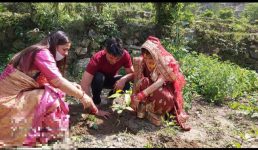 Uttarakhand : चमोली के लिए गर्व की बात, नगर पंचायत नंदप्रयाग को पीएम मोदी करेंगे सम्मानित