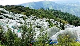 Uttarakhand यहां सेब को एंंटी हेलनेट ओलावृष्टि से बचा रहा, मुख्यमंत्री त्रिवेन्द्र ने शेयर की तस्वीरें