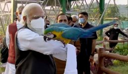 पीएम मोदी की ये तस्वीरें हो रहीं खूब वायरल, केवड़िया में स्टेच्यू ऑफ यूनिटी के दौरे पर थे प्रधानमंत्री