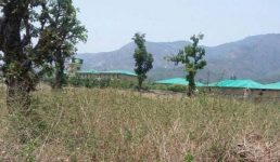 Uttarakhand जमीन खरीदने वाले सावधान, एजेंट सरकारी जमीन भी बेच रहे, हल्द्वानी में कुछ लोगों पर रिपोर्ट दर्ज