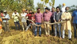 Uttarakhand यहां मिला 16 फीट लंबा अजगर, पूरी खबर पढ़ें