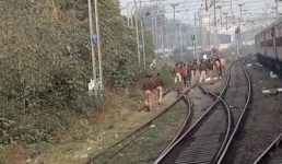 उत्तराखंड निवासी दरोगा का खून से सना गोली लगा शव मिला, मौके से पिस्टल और 9 कारतूस भी बरामद