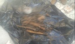 Uttarakhand पानी की टंकी से नरकंकाल बरामद होने से हड़कंप, पुलिस ने लिया डीएनए सेंपल