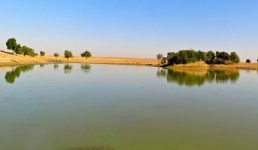 उधम सिंह नगर : जीजा-साली तालाब में गए थे नाव लेकर, गोताखोरों को मिली दोनों की लाश
