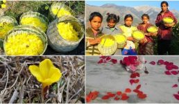 Uttarakhand हर्षोल्लास के साथ मनाया गया फूलदेई का पर्व, बच्चों ने किया देली पूजन