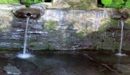 विश्व जल दिवस : उत्तराखंड के धारे और नौले, जरूरत है इन्हें पुनर्जीवित करने की, नहीं तो प्यासे रहेंगे पहाड़