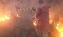 Uttarakhand  वन मंत्री हरक सिंह, खुद पहुंच गए जंगल की आग बुझाने