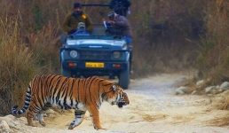 Uttarakhand समस्त संरक्षित क्षेत्रों में पर्यटन और शोध गतिविधियां 15 मई तक बंद, बढ़ते संक्रमण के चलते लिया गया फैसला