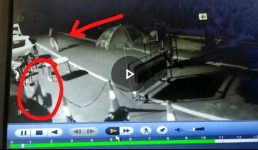 Video उत्तराखंड : ड्यूटी दे रहे पुलिसकर्मी पर झपटा तेंदुआ, देर रात की है घटना