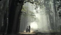 लालढांग-चिल्लरखाल वन मोटर मार्ग को राष्ट्रीय वन्यजीव बोर्ड की मंजूरी, वन्य जीवों के गुजरने को बनेगा एलिवेटेड एनिमल पुल