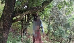 उत्तराखंड : प्रेमकहानी का दर्दनाक अंत, पेड़ पर लटके मिले युवक-युवती