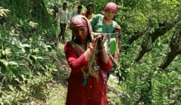 चमोली : घायल महिला को 15 किमी चलकर डंडी-कंडी के सहारे महिलाओं ने पहुंचाया अस्पताल, सड़क न होने से आए दिन परेशानी