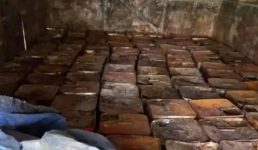 Uttarakhand तेल के टैंकर से 400 टिन लीसा बरामद, चालक-परिचालक गिरफ्तार