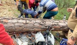 Uttarakhand तस्वीरें : चलती बाइक पर पेड़ गिरा, चालक घायल, स्थिति नाजुक