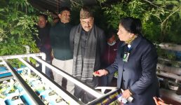 Uttarakhand जंगलों में पिरुल से आग भड़कने का हल निकाला DRDO ने, जायजा लिया रक्षा राज्य मंत्री अजय भट्ट ने