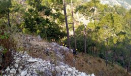 उत्तराखंड में बड़ा हादसा, खाई में गिरा बारात से लौट रहा वाहन, 14 लोगों की मौत, चालक सहित दो गंभीर, पीएम मोदी ने दुख जताया