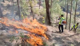 Video उत्तराखंड के पिथौरागढ़ में खुद जंगल की आग बुझाने निकले DFO क्या बोले, देखिए
