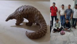 Uttarakhand : खटीमा में तस्करों से दुर्लभ जानवर बरामद, करोड़ों की कीमत है अंतरराष्ट्रीय बाजार में