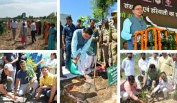 Uttarakhand : हरेला पर्व पर प्रदेश में 1 महीने का वृक्षारोपण अभियान शुरू, सीएम ने कहा जल स्रोतों एवं गदेरों के पुनर्जीवन एवं संरक्षण के लिए कार्य किए जायेंगे