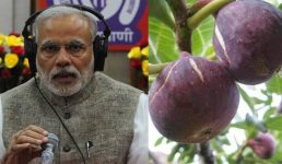 बेड़ू का जिक्र किया पीएम मोदी ने ‘मन की बात’ में, पिथौरागढ़ प्रशासन की तारीफ भी की, देखिए पूरा वीडियो