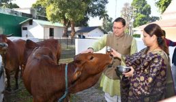सीएम धामी ने गोवर्धन पूजा पर गायों की पूजा की, पत्नी गीता धामी भी रहीं मौजूद