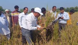 उत्तराखंड में यहां डीएम को हाथ में दरांती लेकर खुद फसल काटते देख लोग हुए हैरान, पढ़िए क्या है पूरा मामला