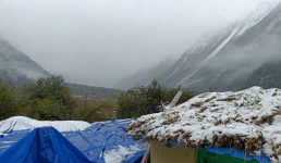 उत्तराखंड में 14 जनवरी तक इन जिलों में बारिश और बर्फबारी का अनुमान, मैदानी जिलों में जारी रहेगी शीत लहर