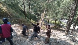 Uttarakhand : धरासू- यमुनोत्री राजमार्ग में भीषण दुर्घटना, 5 लोगों की मौत, 1 घायल