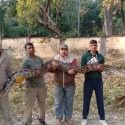 Uttarakhand : यहां मिला विशाल अजगर, बड़ी मुश्किल से आया काबू में