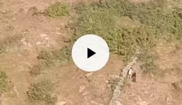 Video उत्तराखंड में तेंदुए ने दो महिलाओं पर दिनदहाड़े किया हमला, देखिए