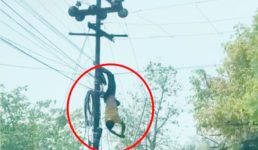 हल्द्वानी में जंपर ठीक करने के दौरान लाइनमैन करंट की चपेट में आ गया, पढ़ें पूरी खबर
