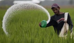 अब किसान सम्मान निधि पाना हुआ और आसान, पीएम-किसान मोबाइल ऐप में फेस ऑथेंटिकेशन फीचर लॉन्च