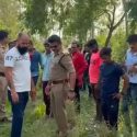 उत्तराखंड में शर्मनाक घटना, कई बंदरों को जहर देकर मार दिया, आरोपी पुलिस के शिकंजे में