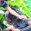 पेड़ से नीचे गिरा तो घुस गया सरिया, मशीन से काटकर घायल अवस्था में अस्पताल ले जाना पड़ा