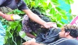पेड़ से नीचे गिरा तो घुस गया सरिया, मशीन से काटकर घायल अवस्था में अस्पताल ले जाना पड़ा