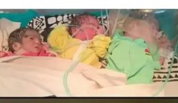 Uttarakhand पहाड़ में महिला ने एक साथ तीन बच्चों को जन्म दिया, प्रसव से पहले परिजन बुरी तरह डर गए थे