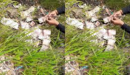 उत्तराखंड में यहां जंगल में मिल रही 1000 और 500 रुपए की गड्डियां, अफवाहों का बाजार गर्म