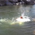 Uttarakhand, 4 साल का बच्चा नहर में गिरा, बचाने को मां भी कूदी, दोनों लापता