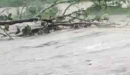 Video उत्तराखंड में मॉनसून असर, नाव जैसे बही कार, 3 जिलों को बेहद सतर्क रहने के आदेश