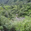 टिहरी में वाहन खाई में गिरा, 2 लोगों की मौत, 1 गंभीर घायल