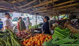 टमाटर ने दी राहत, पढ़िए सभी सब्जियों के दाम हल्द्वानी मंडी में