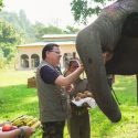 सीएम धामी ने जिम कॉर्बेट टाइगर रिजर्व में सफारी की और पर्यटकों के साथ बातचीत भी की, वनभूमि में अतिक्रमण के विरूद्ध की जा रही कार्यवाही की समीक्षा भी की
