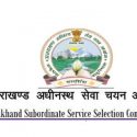 उत्तराखंड में सहायक कृषि अधिकारी बनने का मौका, UKSSSC ने निकाली 34 पदों पर भर्ती, ऐसे करें आवेदन