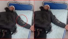 Uttarakhand यहां बाघ ने किया बाइक सवार दो युवकों पर हमला, बाल-बाल बची दोनों की जान