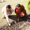 मुख्यमंत्री द्वारा आवास परिसर में किया गया ट्यूलिप की 17 प्रजातियों का रोपण, इसके व्यवसायिक उत्पादन की कार्य योजना बनाने के निर्देश